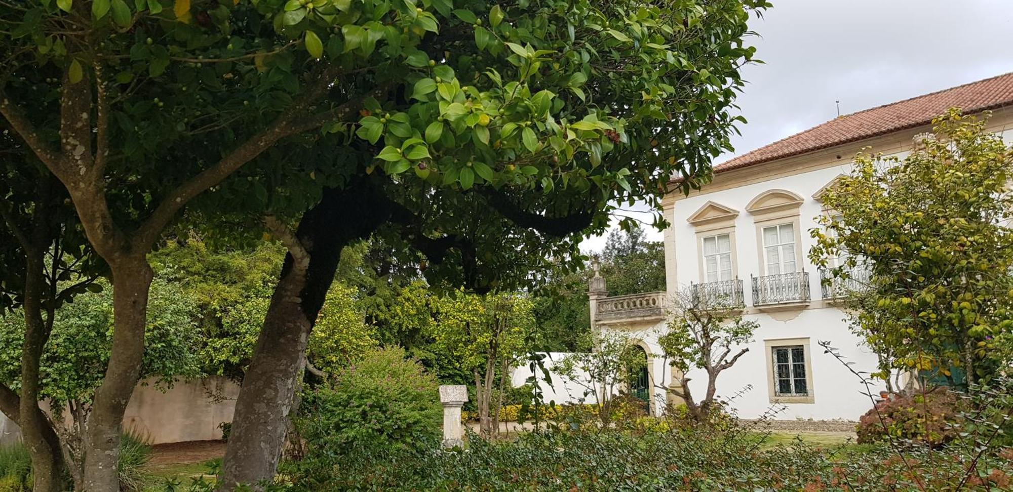 Palacio Da Portela III Coimbra Kültér fotó